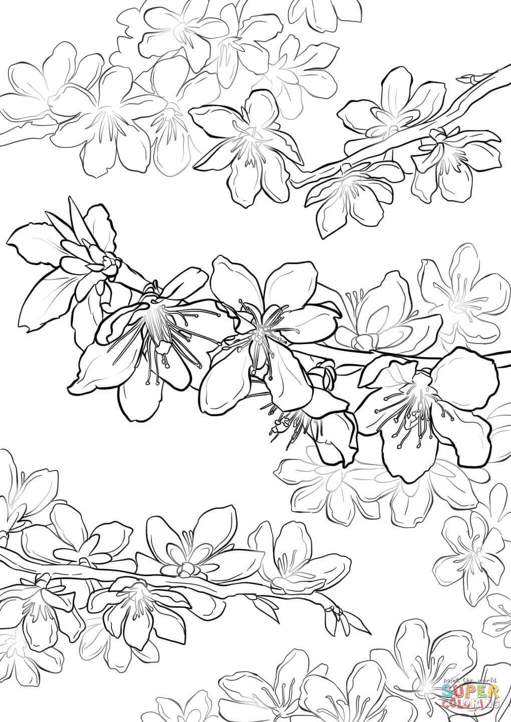 Peach blossom coloring page free printable coloring pages