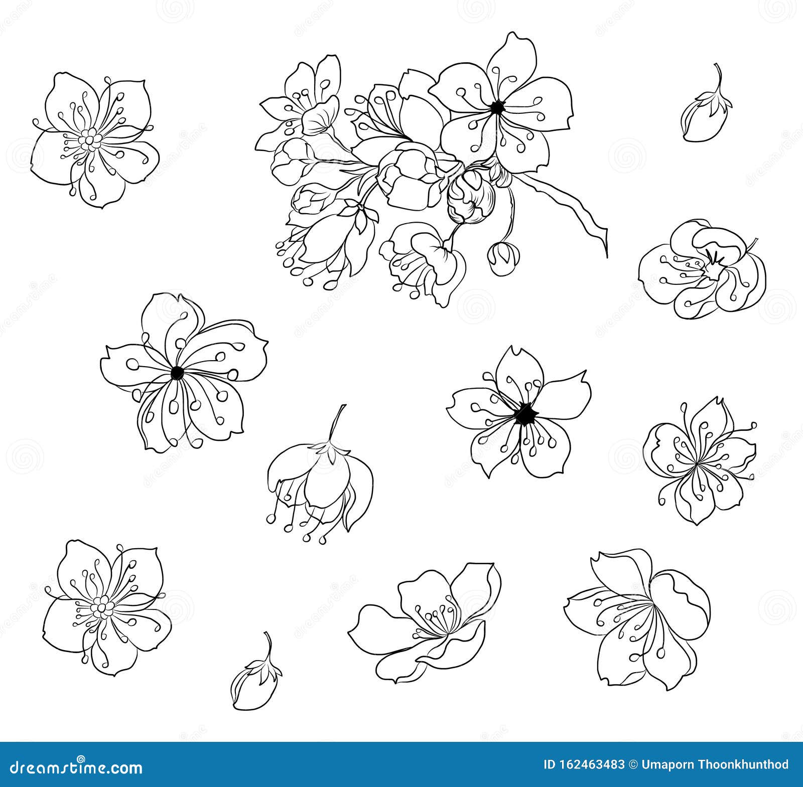 Branch of sakura flower vector for tattoo style on isolated white backgroundpeach blossom illustration for coloring book stock vector