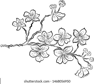 Thousand cherry blossom coloring book royalty