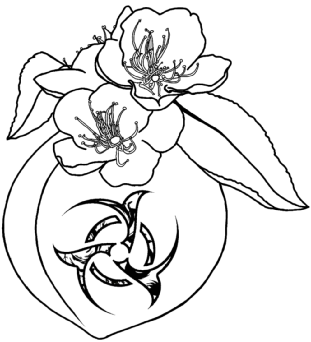 Bio