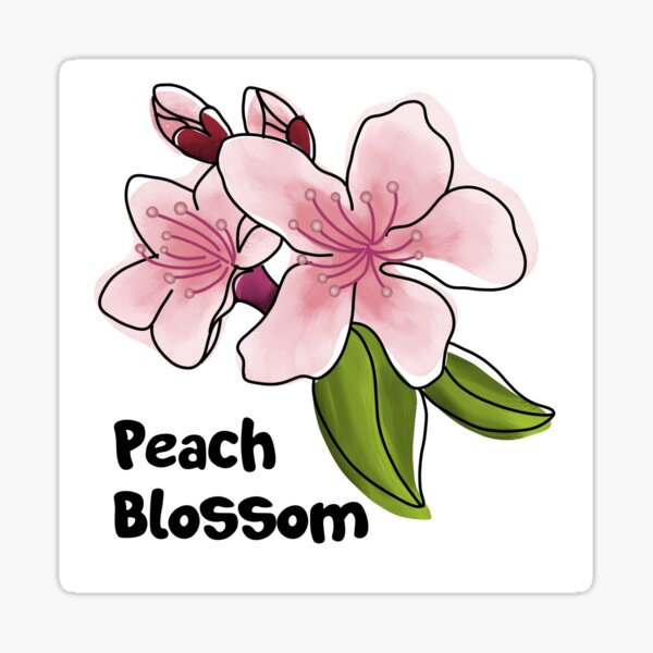 Peach blossom sticker for sale by unhingedheather