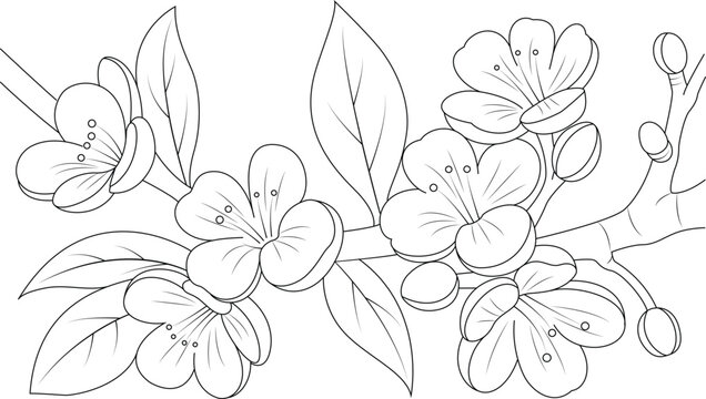 Outline flower images â browse photos vectors and video