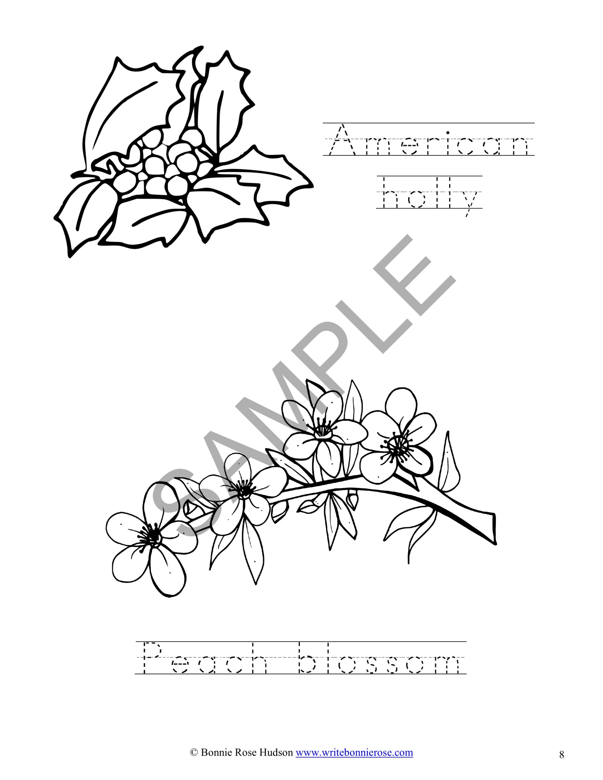 Exploring the united states coloring book with print copywork volume made by teachers