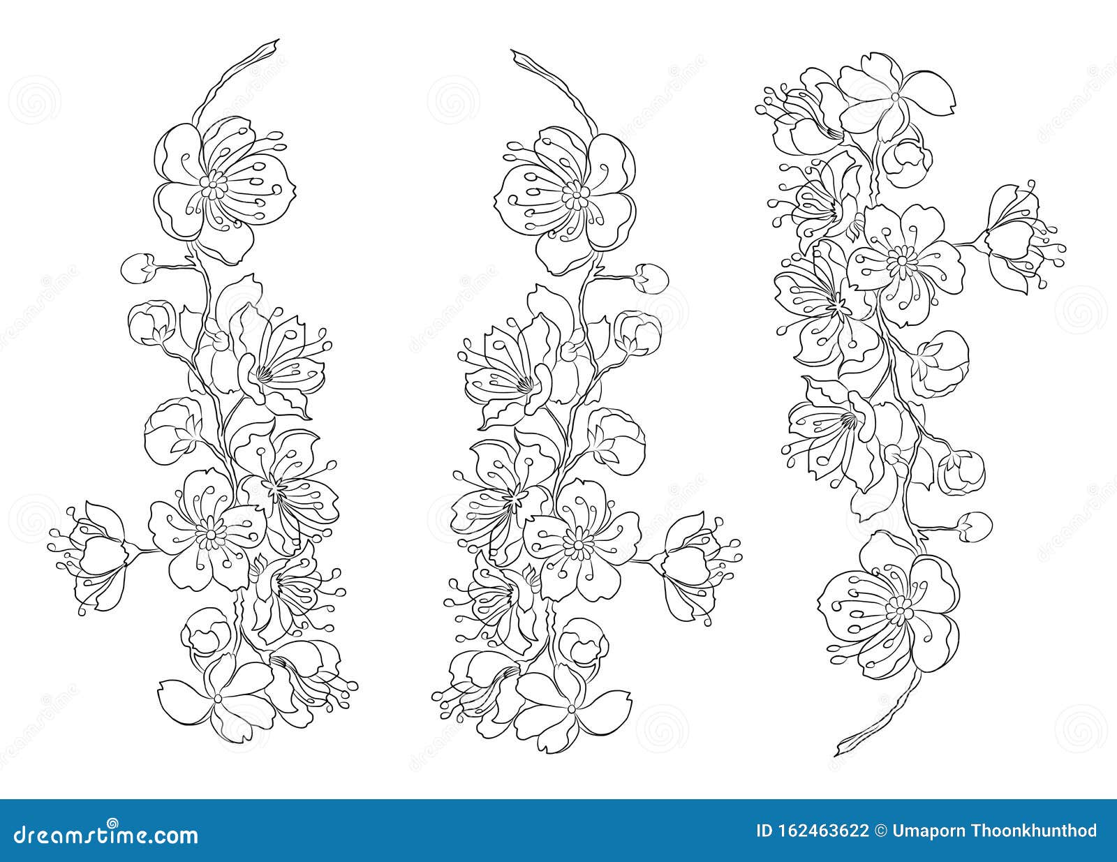 Branch of sakura flower vector for tattoo style on isolated white backgroundpeach blossom illustration for coloring book stock vector