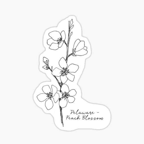 Delaware peach blossom state flower illustration by journey home made sticker for sale by journeyhomemade