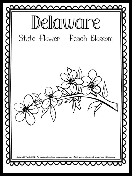Delaware state flower coloring page peach blossom free printable â the art kit