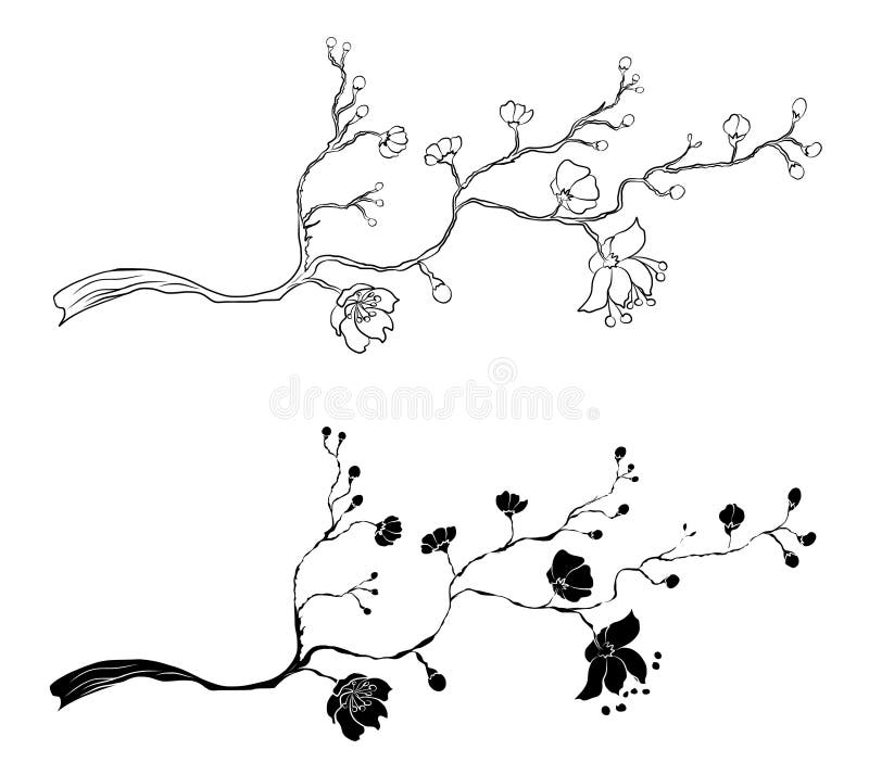 Branch of sakura flower vector for tattoo style on isolated white backgroundpeach blossom illustration for coloring book stock vector