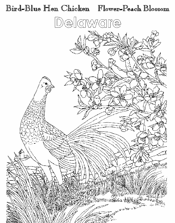 A to z kids stuff delaware state bird
