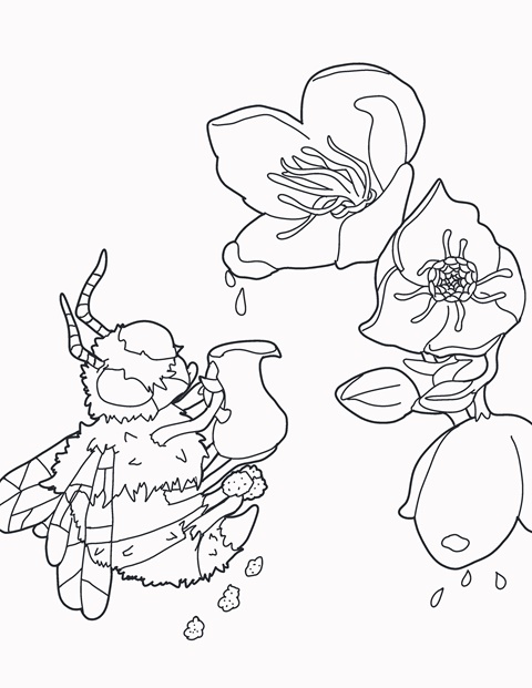 Hellebore tea coloring page