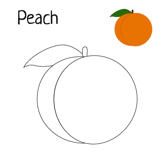 Premium vector peach coloring page