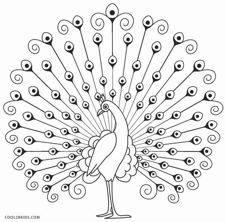 Free printable peacock coloring pages for kids coolbkids peacock coloring pages peacock drawing peacock sketch