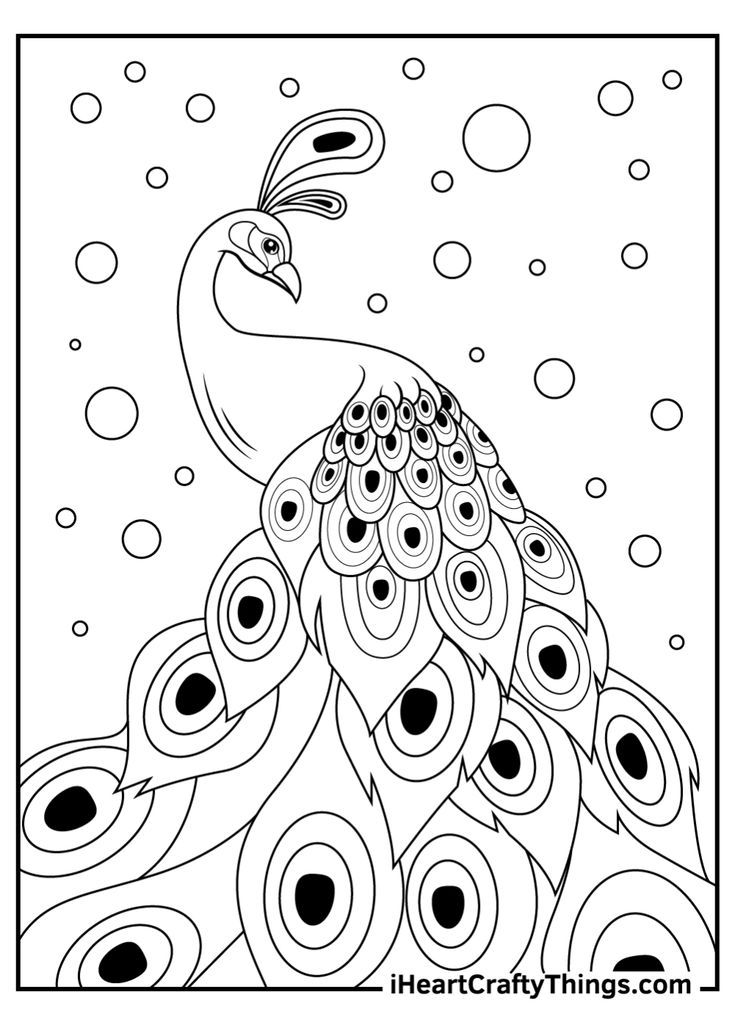 Peacock coloring pages peacock coloring pages coloring pages peacock pictures