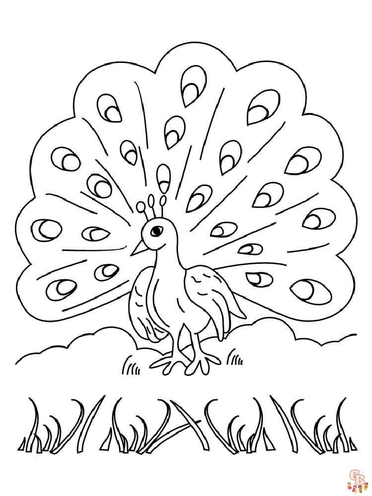 Ultimate peacock coloring pages for kids
