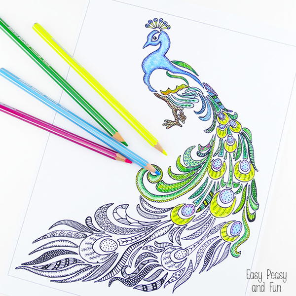 Peculiar peacock coloring sheet