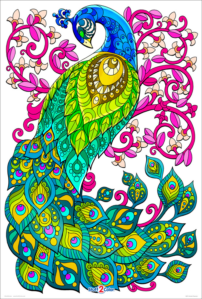 Ornate peacock