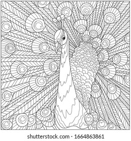 Peacock coloring pages images stock photos d objects vectors