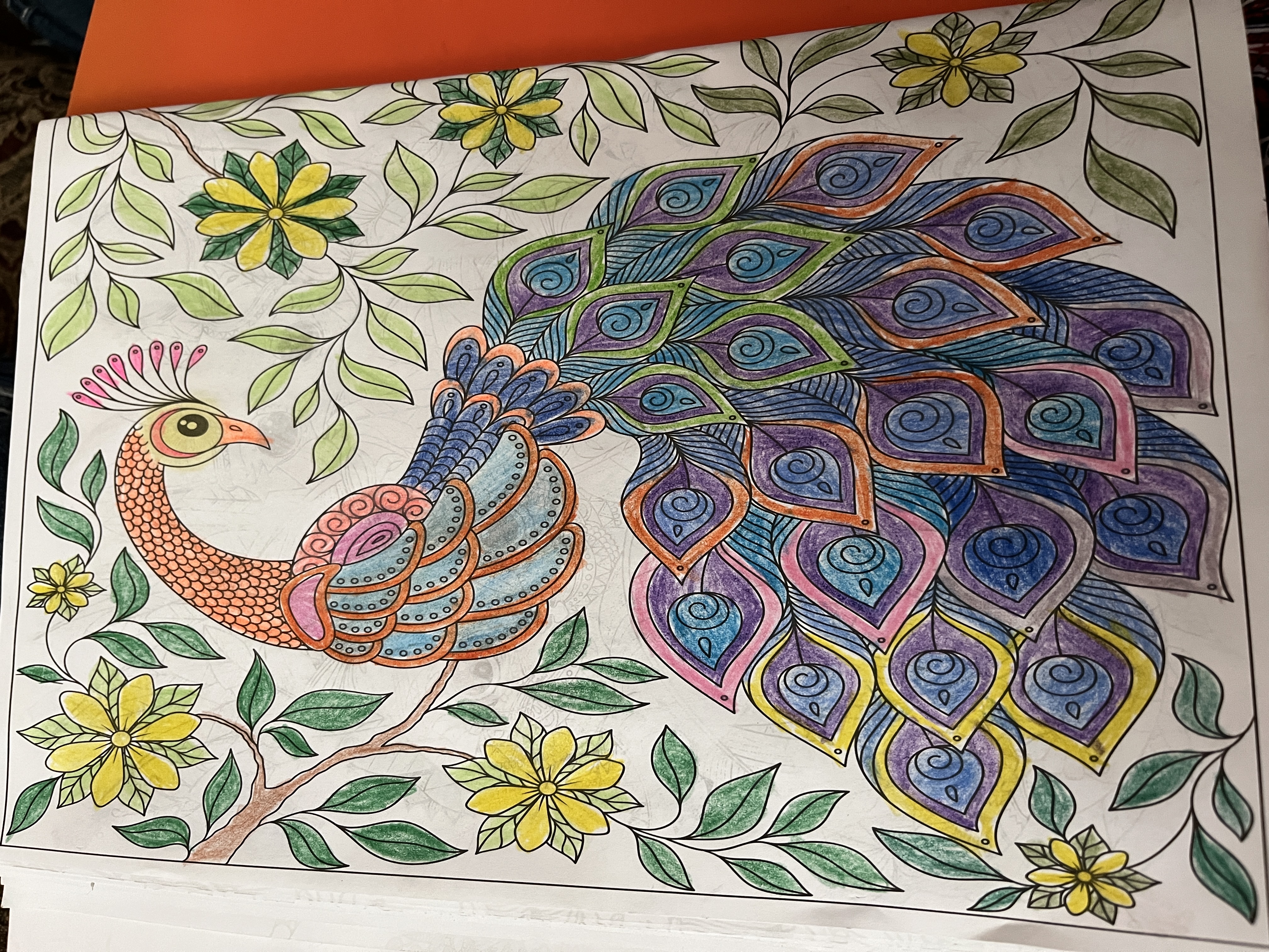 Peacock mandala adult coloring book by onefootedphoenix on