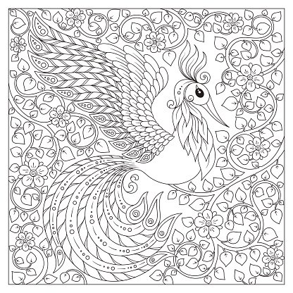 Peacock adult antistress coloring page stock clipart royalty