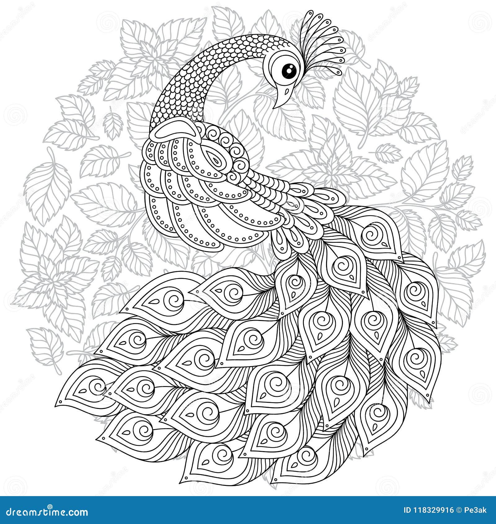 Peacock in zentangle style adult antistress coloring page stock vector