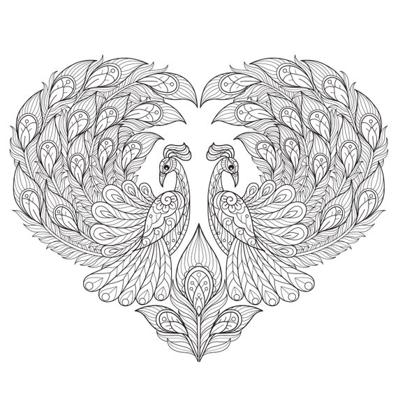 Cute coloring book peacock print kids activity book digital downloadable birds coloring page for adult and kids medium difficulty