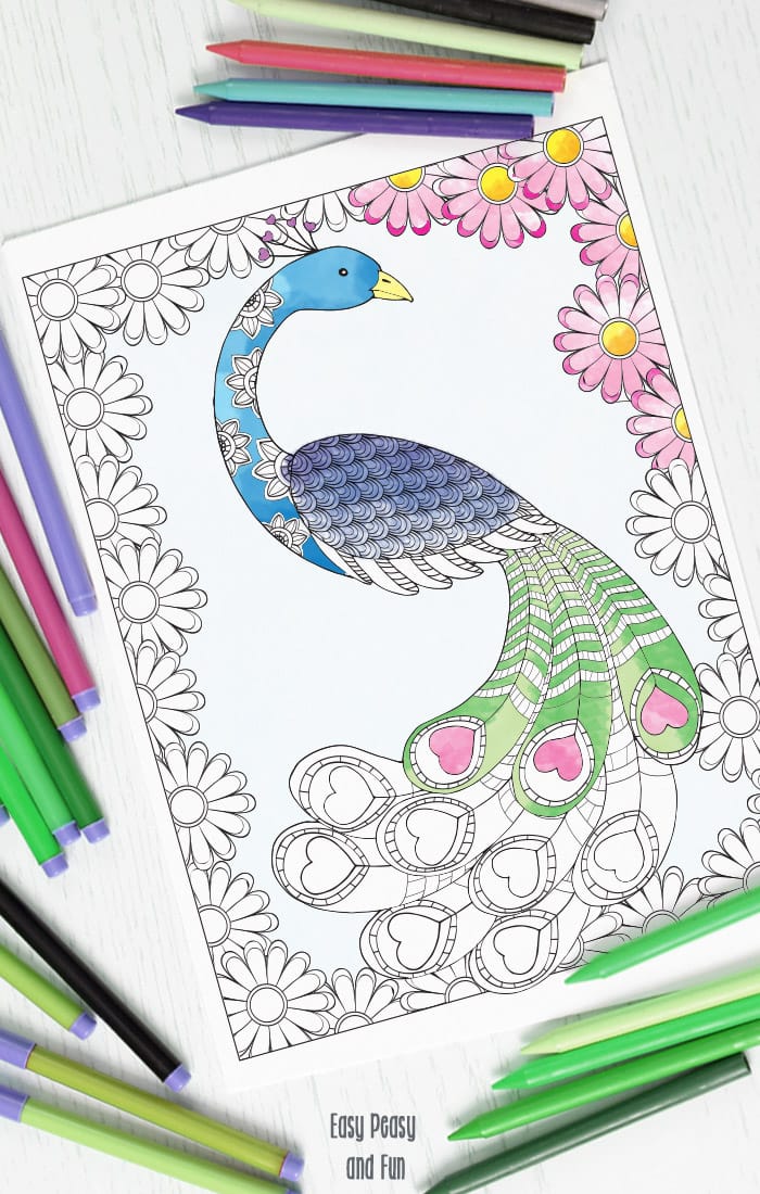 Love peacock coloring page