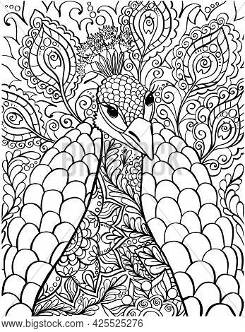 Peacock coloring book vector photo free trial bigstock
