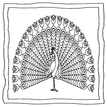 Peacock coloring book peacock coloring pages by abdell hida tpt