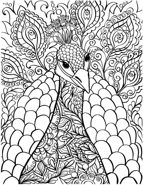 Peacock coloring book page antistress coloring pages for adults stock illustration