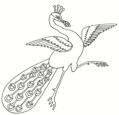 Dancing peacock coloring page peacock coloring pages zoo coloring pages deer coloring pages