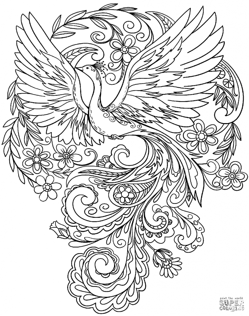 Printable coloring pages peacock coloring pages coloring pages nature coloring pages