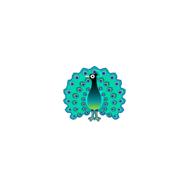 Pride peacock stock illustrations royalty
