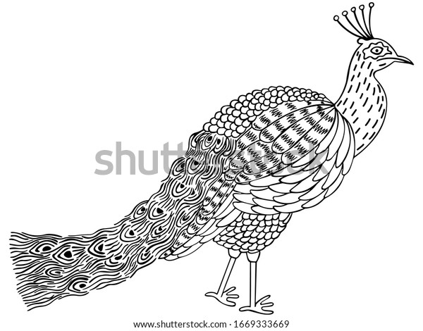 Handdrawn black white peacock meditative zen stock vector royalty free