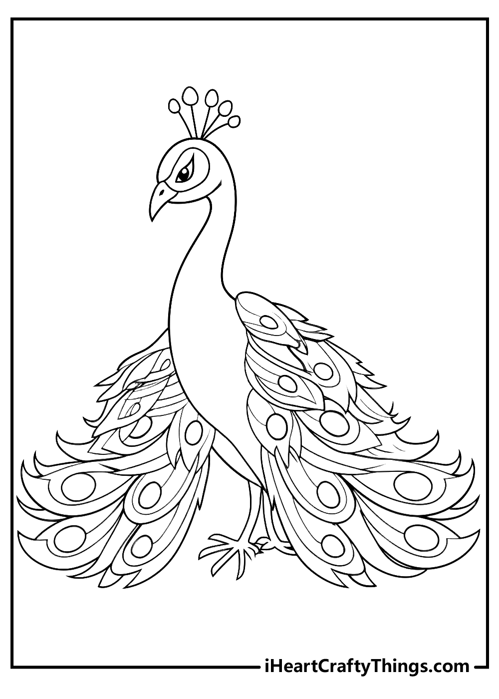 Peacocks coloring pages free printables