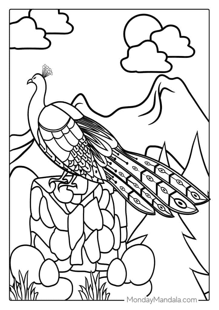 Peacock coloring pages free pdf printables