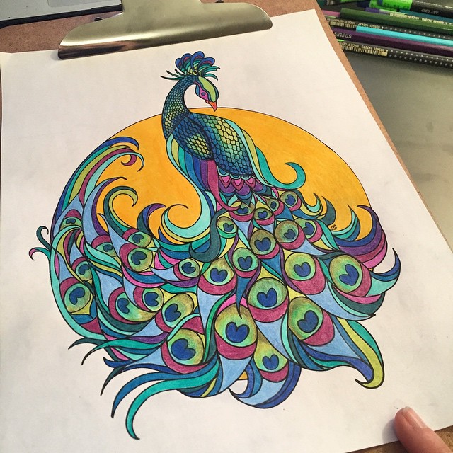 Blog grown up colouring peacock