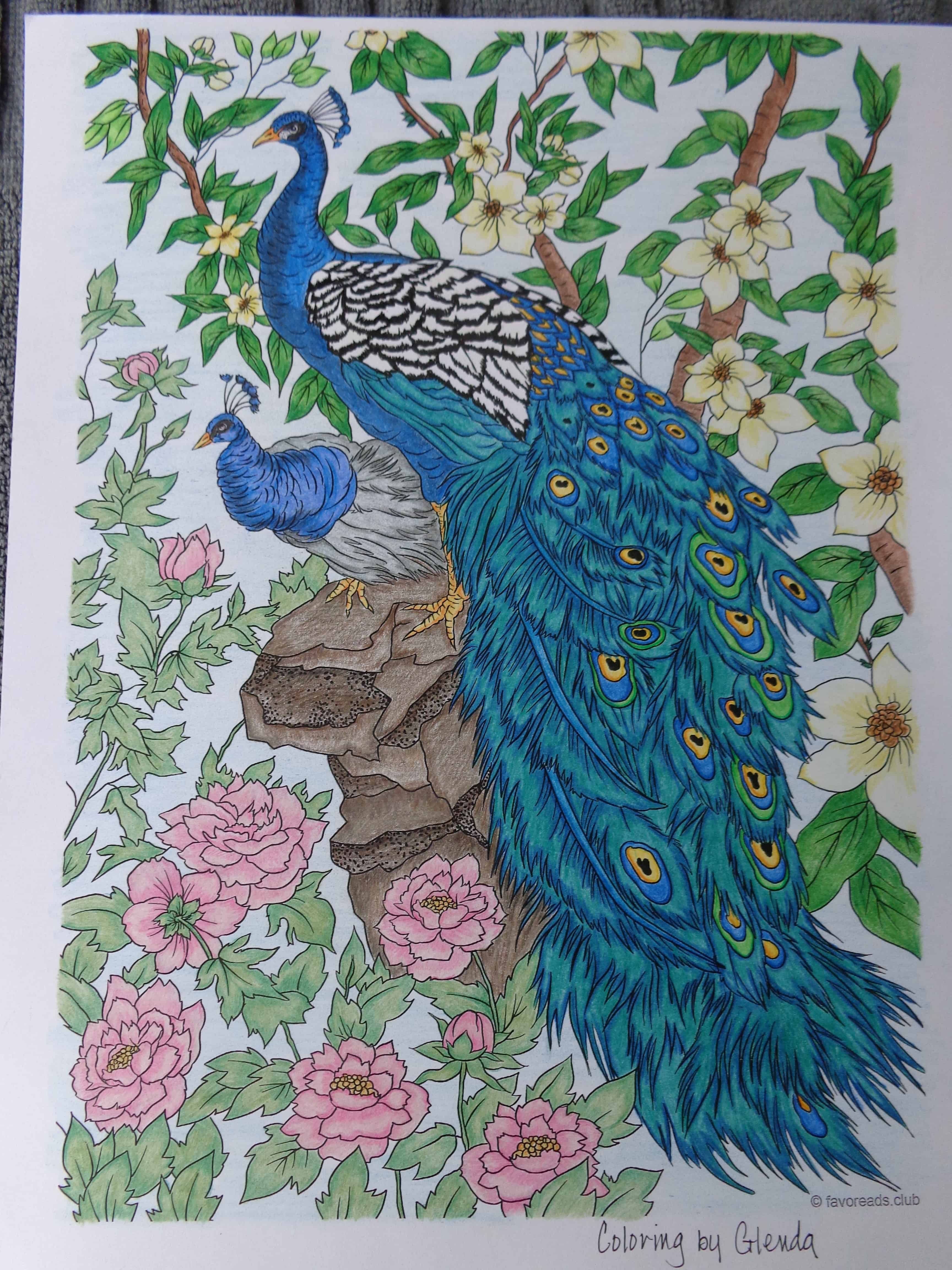 Stunning peacocks colored by glenda works click on the image to see the original coloring designâº chim cãng