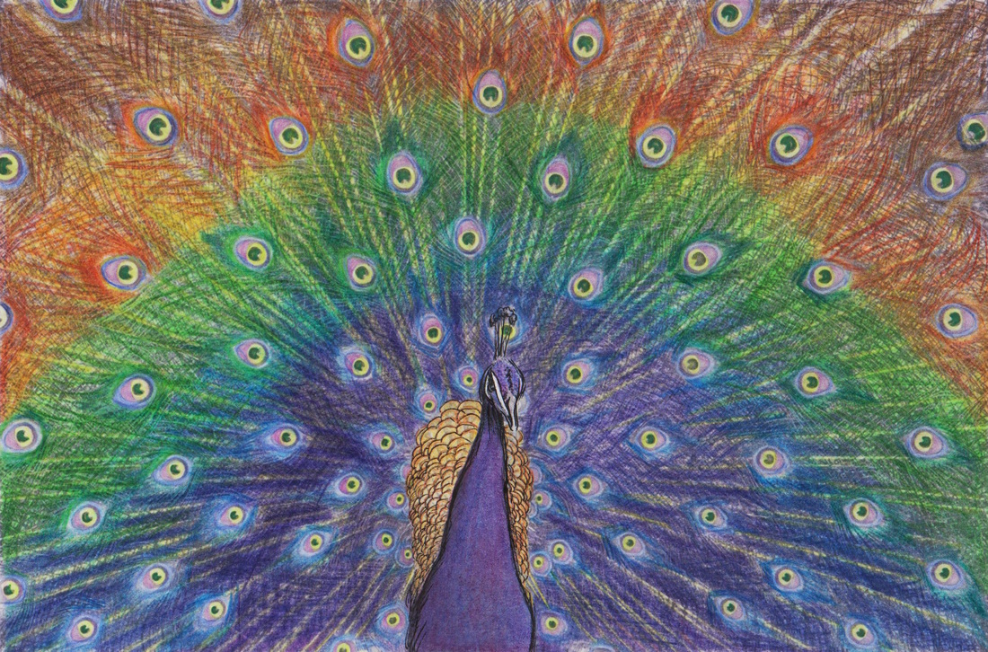 Beautiful creatures grayscale adult coloring book peacock coloring examples