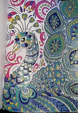 Magnificent peacocks colouring book beautiful birds and perfect plumes anti