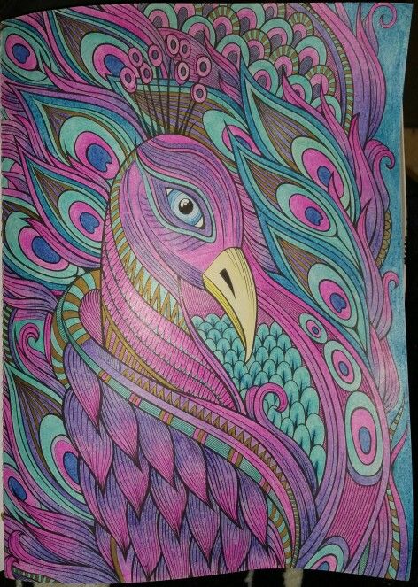Pin by ann hauth