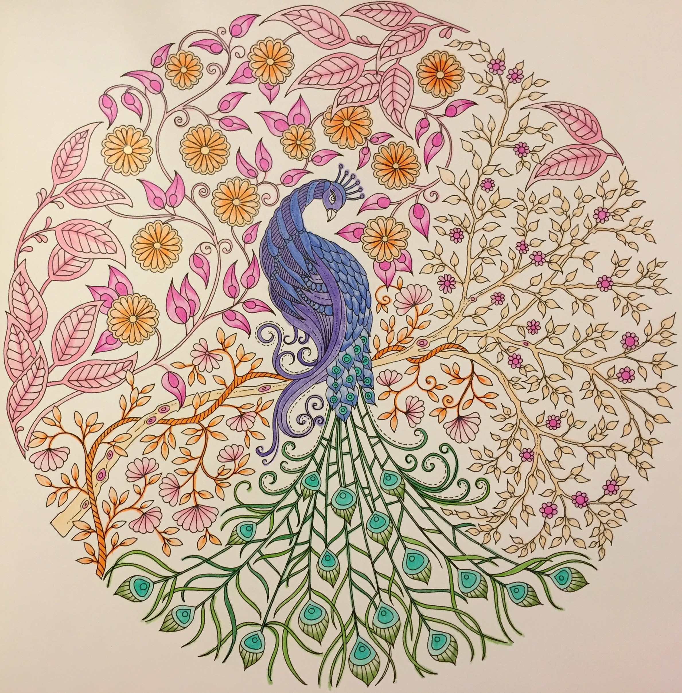 Adults can colour in tooâ â bling and butterflies