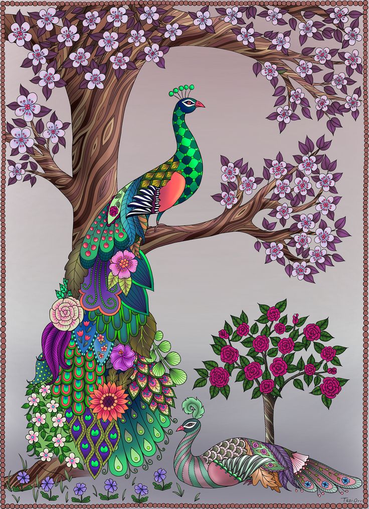 Peacock and peahen in garden coloring page digital print for instant download