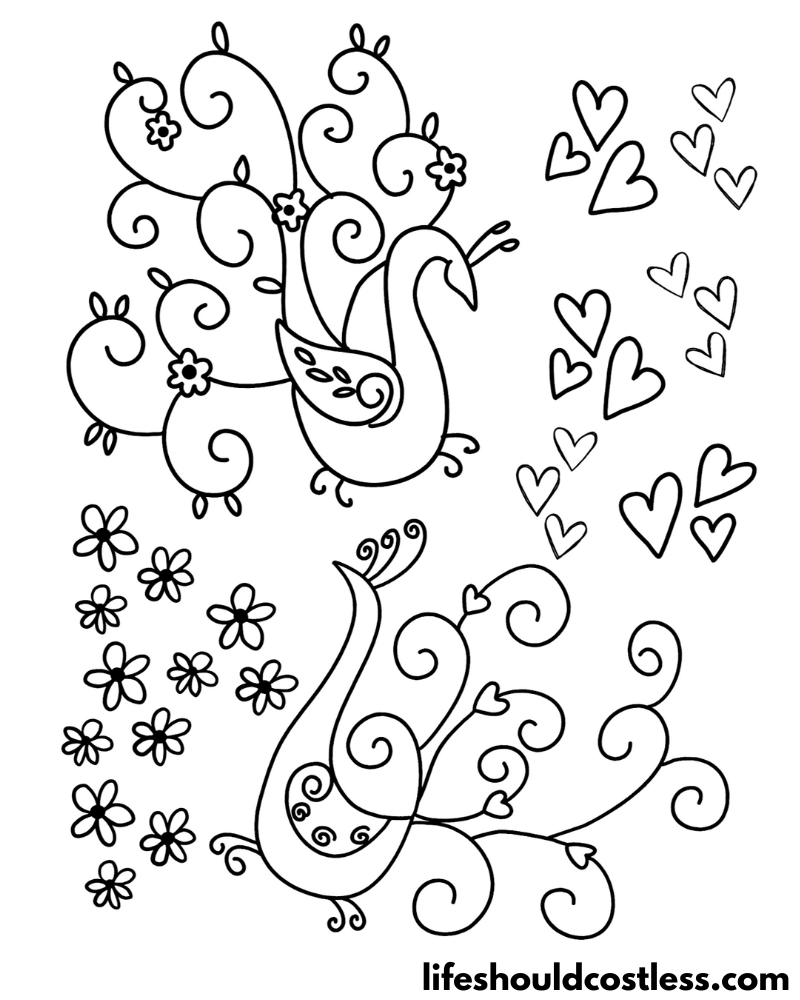 Peacock coloring pages free printable pdf templates