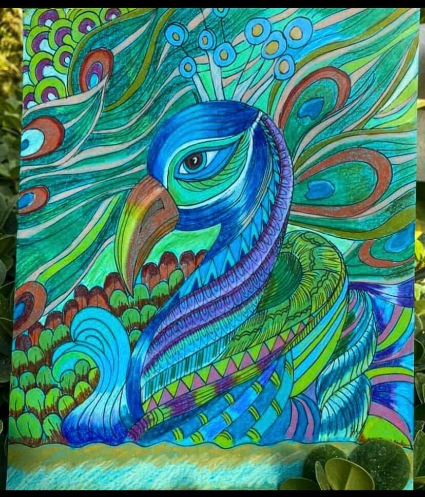 Doodle peacock