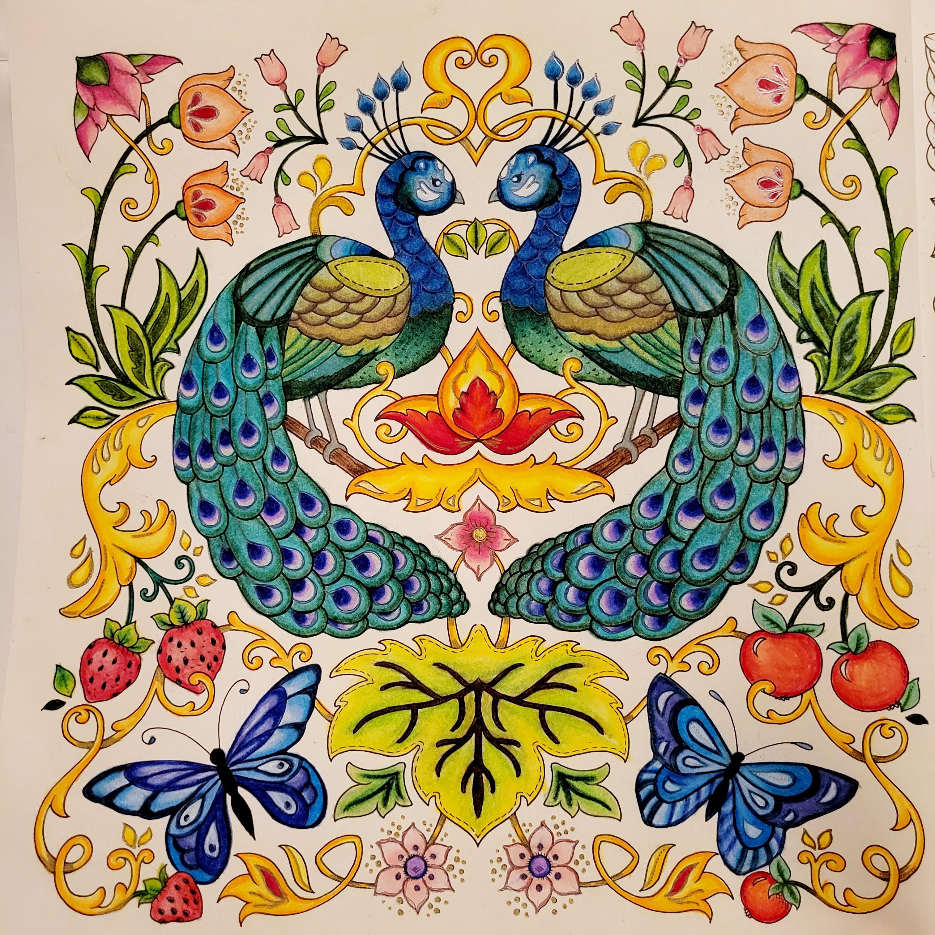 Finally finished my peacocks ð rcoloring