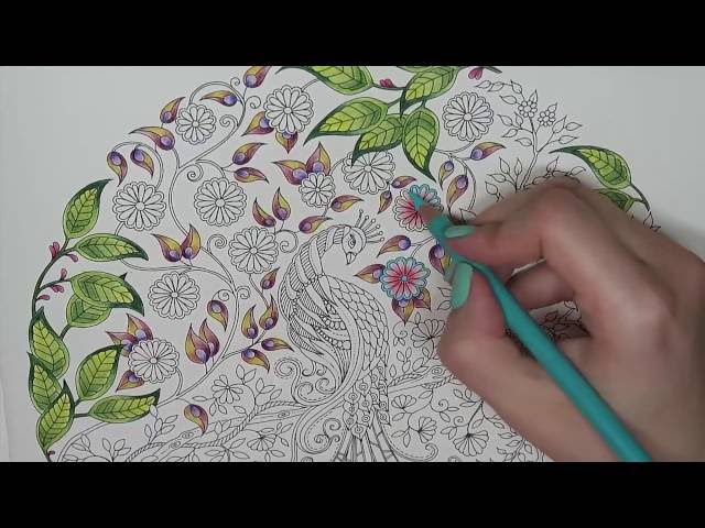 Secret garden coloring book peacock