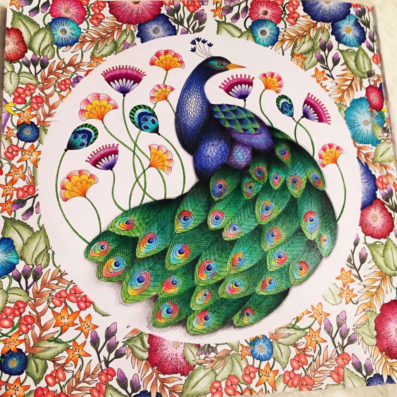 Finished peacock from the millie marotta animal kingdom colouring book meesharose millie marotta coloring book animal kingdom colouring book coloring books