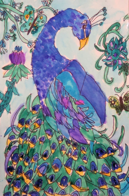 Peacock