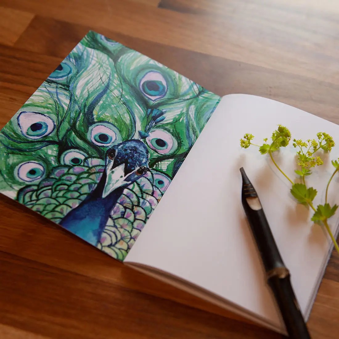 Peacock notebook