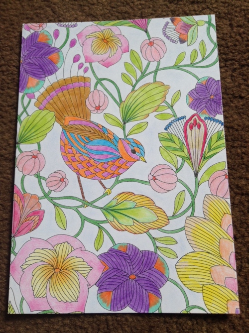 Tropical wonderland adult colouring