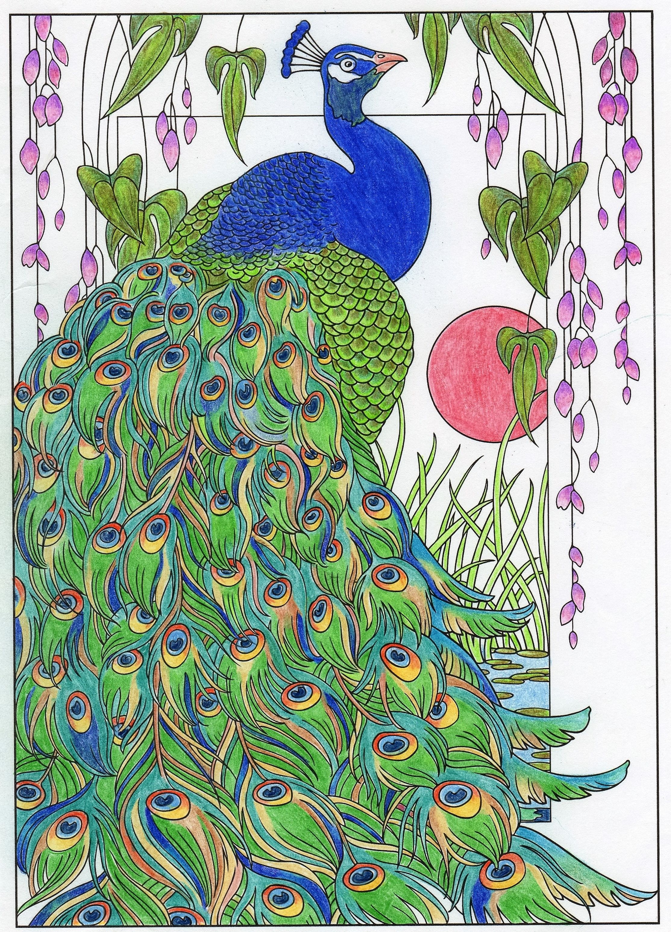Peacock from creative haven peacock designs coloring book designs coloring books coloring books peacock art